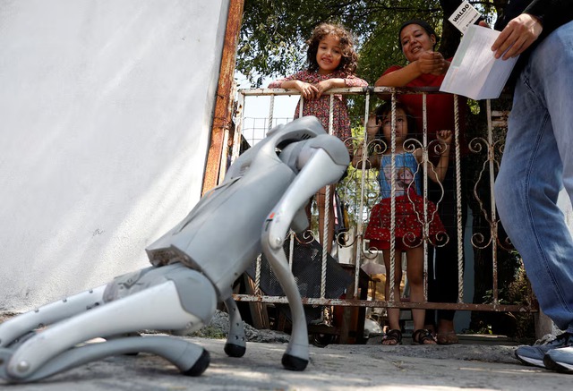 Robot dog in Mexico teaches animal kindness on the streets- Ảnh 1. Robot dog in Mexico teaches animal kindness on the streets- Ảnh 1.