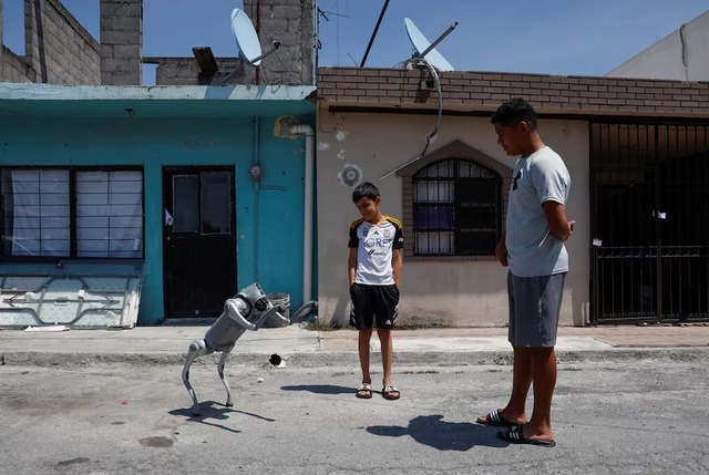 Robot dog in Mexico teaches animal kindness on the streets- Ảnh 3. Robot dog in Mexico teaches animal kindness on the streets- Ảnh 3.
