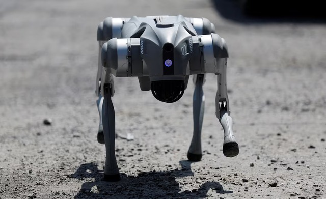 Robot dog in Mexico teaches animal kindness on the streets- Ảnh 5. Robot dog in Mexico teaches animal kindness on the streets- Ảnh 5.
