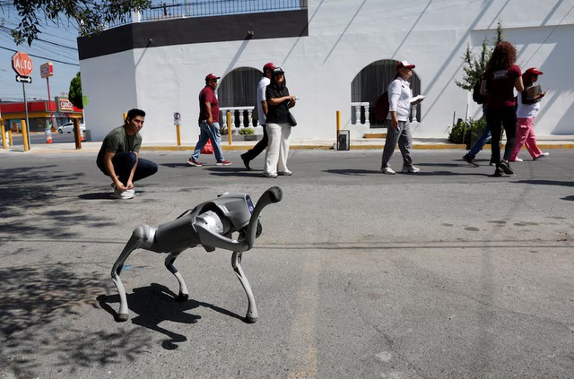 Robot dog in Mexico teaches animal kindness on the streets- Ảnh 4. Robot dog in Mexico teaches animal kindness on the streets- Ảnh 4.