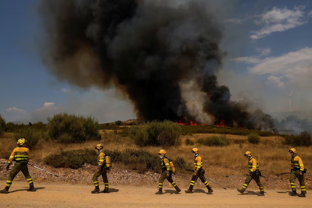 Wildfires fanned by heatwave and strong winds rage across Europe- Ảnh 6.