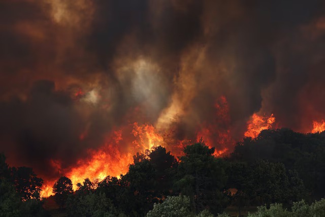 Wildfires fanned by heatwave and strong winds rage across Europe- Ảnh 7.