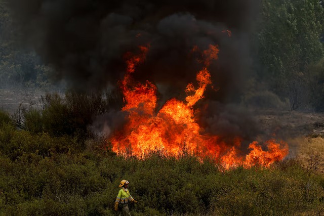 Wildfires fanned by heatwave and strong winds rage across Europe- Ảnh 2.
