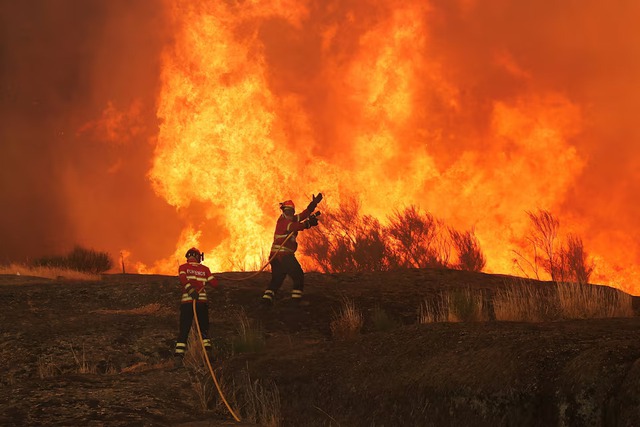 Wildfires fanned by heatwave and strong winds rage across Europe- Ảnh 1.