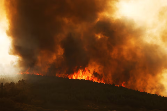 Spain battles 14 major fires with more expected- Ảnh 4. Spain battles 14 major fires with more expected- Ảnh 4.