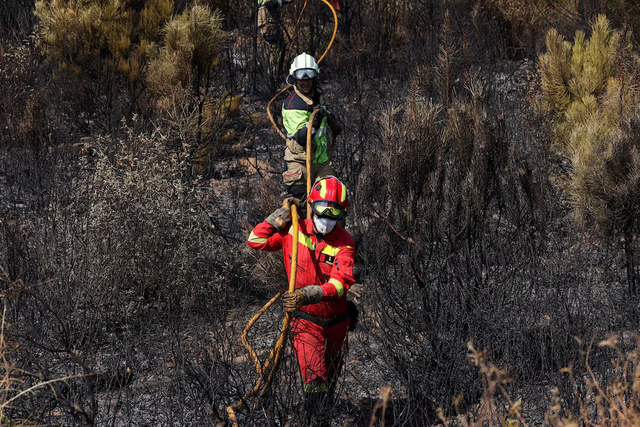 Spain battles 14 major fires with more expected- Ảnh 5. Spain battles 14 major fires with more expected- Ảnh 5.