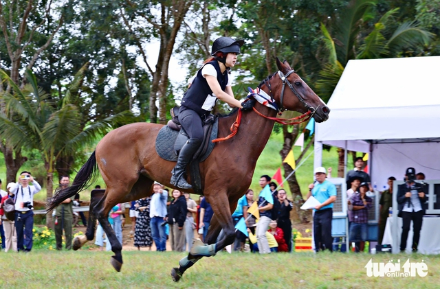 Vietnam hosts inaugural cross-country horse riding tournament in Lam Dong- Ảnh 1.