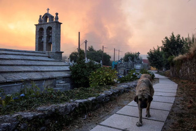 Spain battles 20 major wildfires amid scorching heat, deploys more troops - Ảnh 1.
