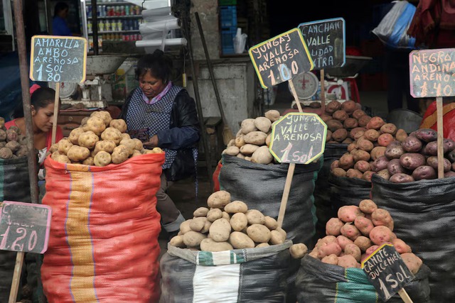 Evolutionary origins of the potato revealed - and a tomato was involved - Ảnh 1.