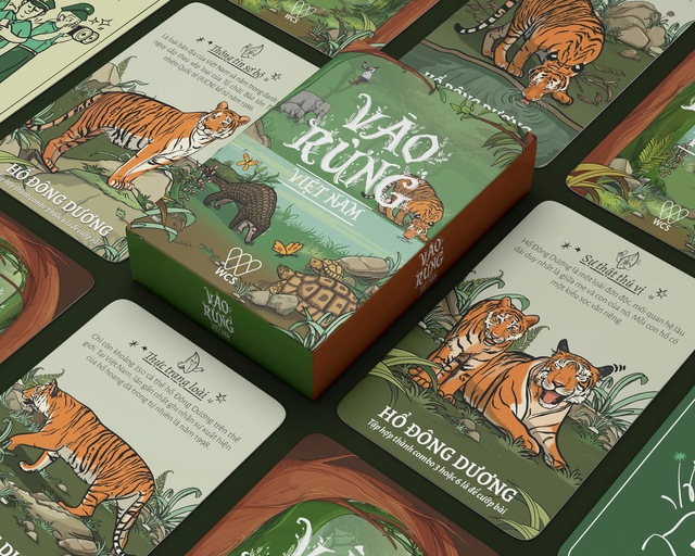 Board game 'Vào rừng Việt Nam' của sinh viên báo chí được cấp quyền tác giả - Ảnh 5.