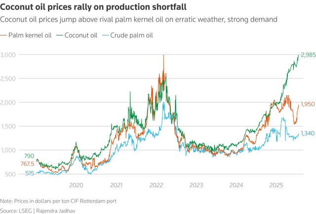 Humble coconut oil turns into a luxury on rising demand, shrinking output- Ảnh 3. Humble coconut oil turns into a luxury on rising demand, shrinking output- Ảnh 3.