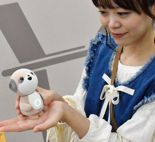 Sharp develops 'Poketomo' conversational AI robot- Ảnh 1. Sharp develops 'Poketomo' conversational AI robot- Ảnh 1.