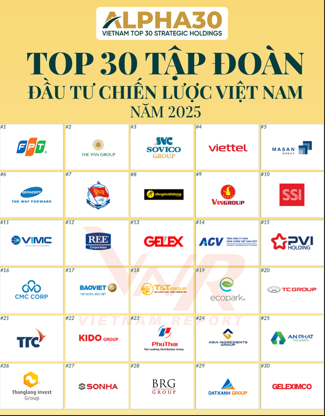 From prey to predator: Vietnamese firms emerge as global strategic investors - Ảnh 1.