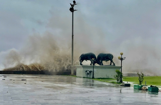 Storm may form in East Vietnam Sea, head for Gulf of Tonkin- Ảnh 1. Storm may form in East Vietnam Sea, head for Gulf of Tonkin- Ảnh 1.