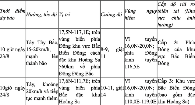 Ngày mai 23-8, áp thấp nhiệt đới có thể mạnh lên thành bão- Ảnh 2.