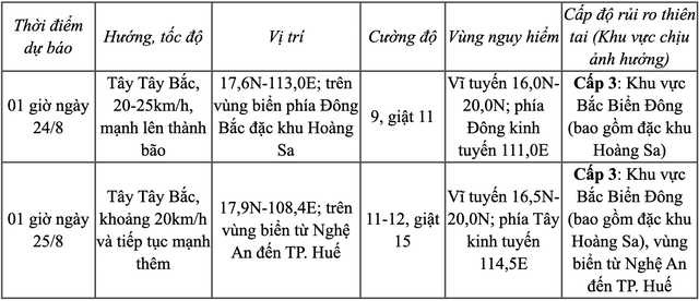 Dự báo ngày mai 24-8, áp thấp nhiệt đới mạnh lên thành bão - Ảnh 2.