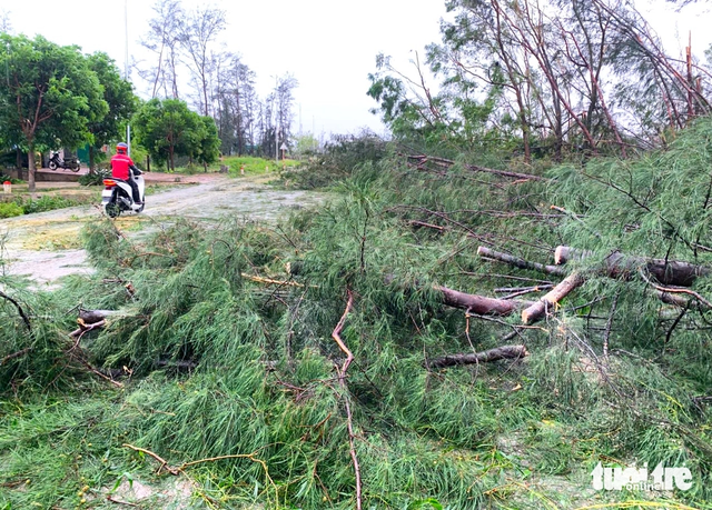 Storm Kajiki leaves widespread destruction across north-central Vietnam- Ảnh 10. Storm Kajiki leaves widespread destruction across north-central Vietnam- Ảnh 10.