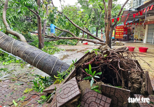 Storm Kajiki leaves widespread destruction across north-central Vietnam- Ảnh 13. Storm Kajiki leaves widespread destruction across north-central Vietnam- Ảnh 13.