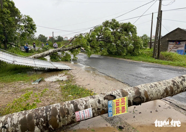 Storm Kajiki leaves widespread destruction across north-central Vietnam- Ảnh 17. Storm Kajiki leaves widespread destruction across north-central Vietnam- Ảnh 17.
