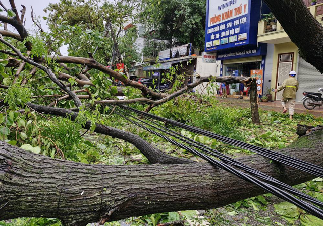Storm Kajiki leaves widespread destruction across north-central Vietnam- Ảnh 19. Storm Kajiki leaves widespread destruction across north-central Vietnam- Ảnh 19.