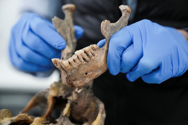 DNA sequencing of ancient remains by Colombian scientists reveals unknown human lineage- Ảnh 3. DNA sequencing of ancient remains by Colombian scientists reveals unknown human lineage- Ảnh 3.
