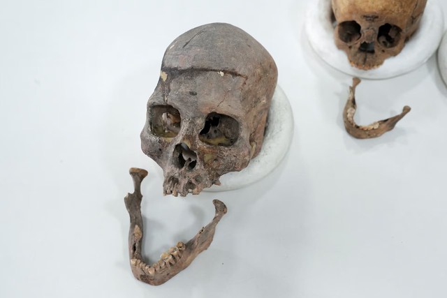 DNA sequencing of ancient remains by Colombian scientists reveals unknown human lineage- Ảnh 1. DNA sequencing of ancient remains by Colombian scientists reveals unknown human lineage- Ảnh 1.