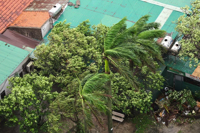 Typhoon Kajiki kills 3 in Vietnam, floods Hanoi streets- Ảnh 5.