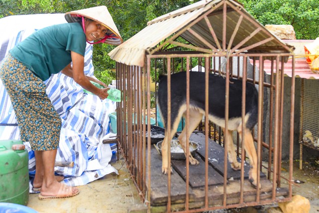 Hundreds of homes flooded in Vietnam’s Thanh Hoa after storm Kajiki- Ảnh 14.
