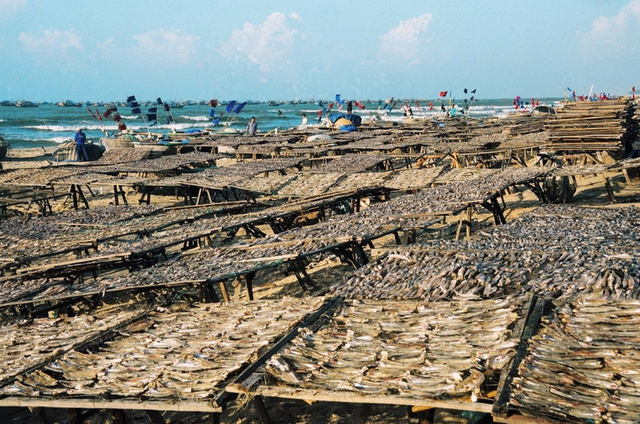 Photography exhibition highlights dynamic Ho Chi Minh City- Ảnh 9. Photography exhibition highlights dynamic Ho Chi Minh City- Ảnh 9.
