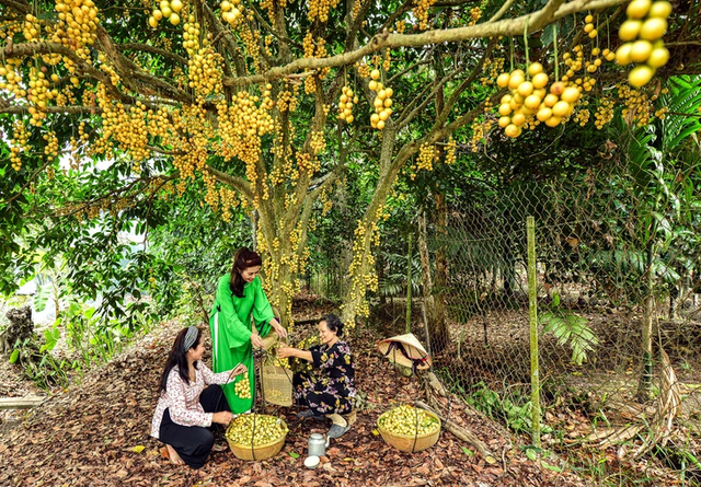 Photography exhibition highlights dynamic Ho Chi Minh City- Ảnh 13. Photography exhibition highlights dynamic Ho Chi Minh City- Ảnh 13.