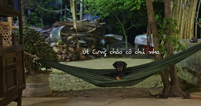 Út Cưng và Gái Vàng - hai em cún đang gây sốt trong Gia đình Haha- Ảnh 3.