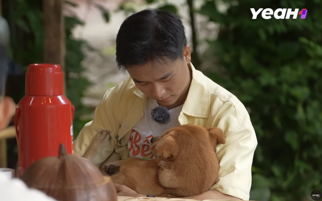 Út Cưng và Gái Vàng - hai em cún đang gây sốt trong Gia đình Haha- Ảnh 5.