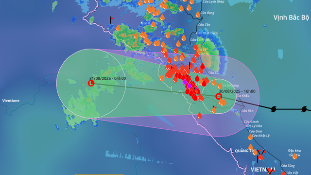 Storm Nongfa weakens after hitting Vietnam’s Ha Tinh-Quang Tri- Ảnh 1.