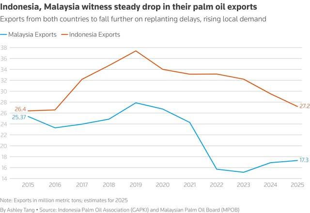 Old trees and ageing farmers worsen outlook for top palm oil exporters- Ảnh 2. Old trees and ageing farmers worsen outlook for top palm oil exporters- Ảnh 2.