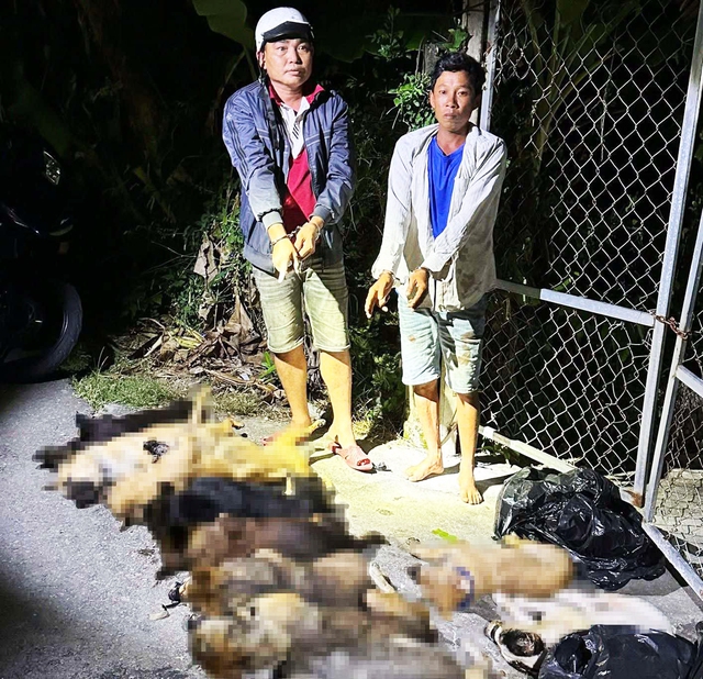 2 arrested in southern Vietnam for organized dog theft, 12 dogs found dead - Ảnh 1.