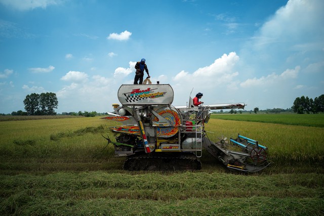 Vietnam overtakes Thailand to become world's 2nd-largest rice exporter- Ảnh 1.