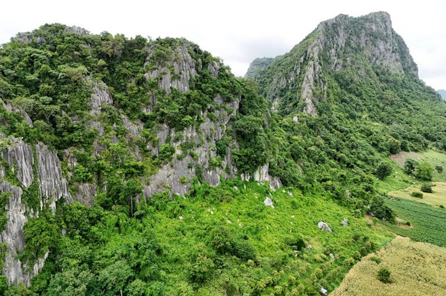 New species teem in Cambodia's threatened karst- Ảnh 6. New species teem in Cambodia's threatened karst- Ảnh 6.