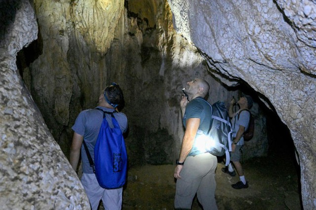 New species teem in Cambodia's threatened karst- Ảnh 1. New species teem in Cambodia's threatened karst- Ảnh 1.
