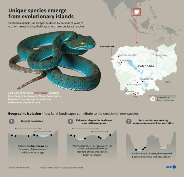 New species teem in Cambodia's threatened karst- Ảnh 8. New species teem in Cambodia's threatened karst- Ảnh 8.