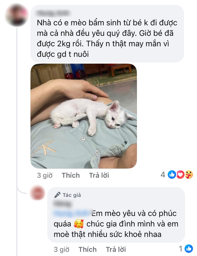 Nhân Ngày Quốc tế mèo 8-8, các con sen rần rần khoe boss trên mạng xã hội- Ảnh 3.