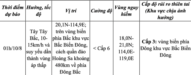 Ngày mai 10-8, áp thấp nhiệt đới suy yếu thành vùng áp thấp- Ảnh 2.