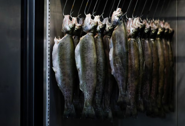 Mexico City restaurant blends zero waste and ancient agriculture - Ảnh 4.