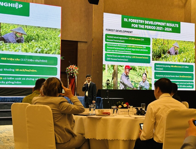 German diplomat praises Vietnam’s efforts in ensuring timber legality for sustainable forestry- Ảnh 4. German diplomat praises Vietnam’s efforts in ensuring timber legality for sustainable forestry- Ảnh 4.