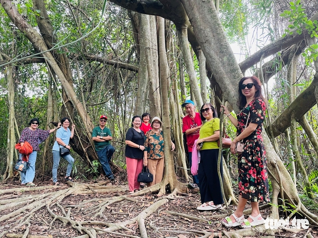 5 ancient trees in Vinh Long recognized as Vietnam Heritage Trees- Ảnh 1.