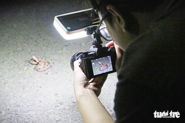 Young nature enthusiasts redefine image of snakes, reptiles through forest expeditions in Vietnam - Ảnh 2.