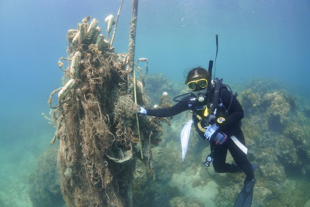 Japan backs new material development to reduce marine plastic waste- Ảnh 1.