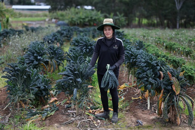In Australia, a data centre boom is built on vague water plans- Ảnh 5.