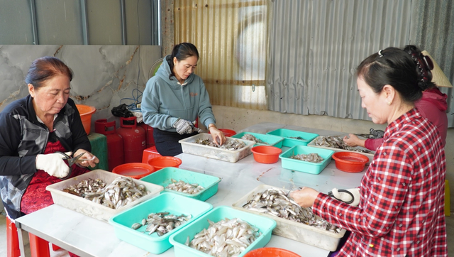 Woman turns discarded fish into delicacy in Vietnam’s Ca Mau- Ảnh 3.