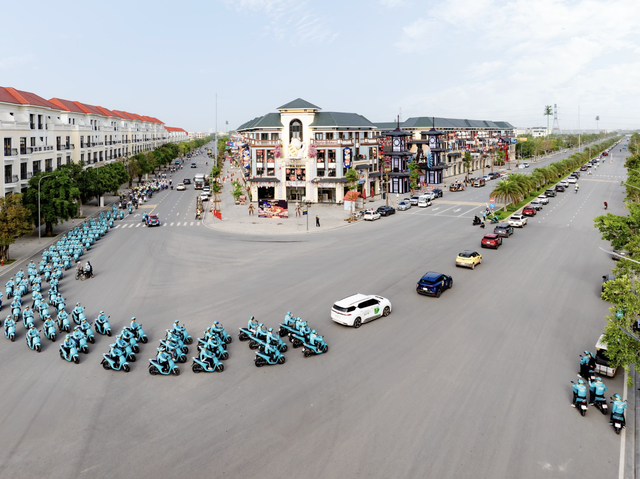Vietnam leads world in EV sales share in H1 2025: report- Ảnh 2.