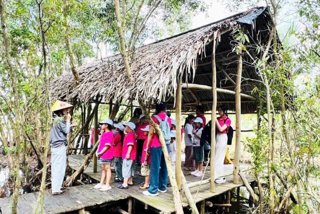 Vietnam recreates forest village to recall wartime life in U Minh Ha - Ảnh 5. Vietnam rebuilds forest village to recall wartime life in U Minh Ha - Ảnh 4.